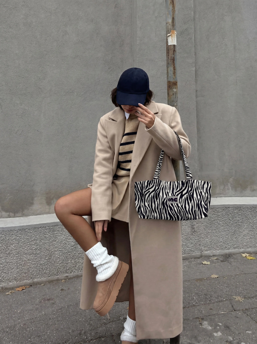 Zebra Tote