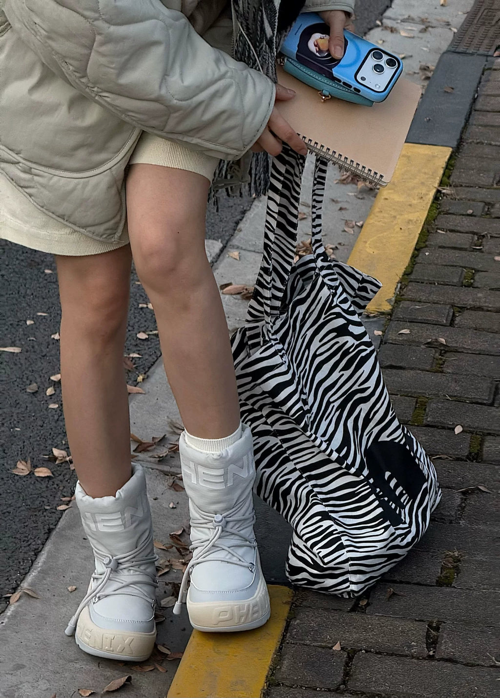 Zebra Print Tote