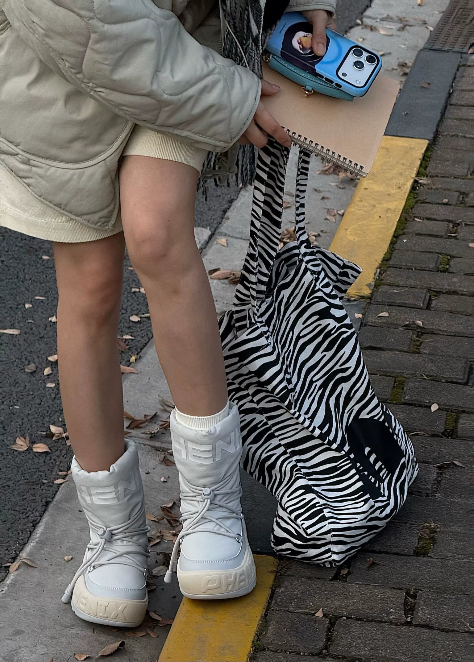 Zebra Print Tote