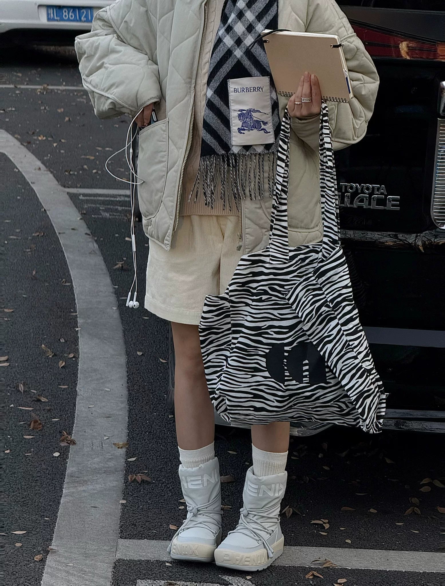 Zebra Print Tote